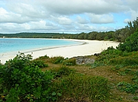 DSC01213.JPG