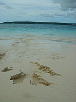 DSC01214.JPG