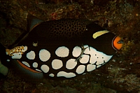 DSC01256 copie.jpg