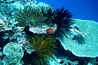 DSC01278 copie.JPG