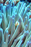 DSC01301 copie.jpg