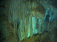 DSC01311 copie.JPG