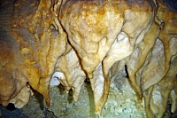 DSC01315 copie.jpg