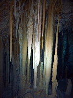 DSC01323.JPG