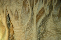 DSC01339 copie.JPG