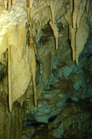 DSC01354 copie.jpg