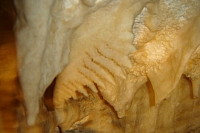 DSC01356 copie.jpg