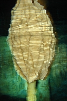 DSC01370 copie.jpg