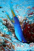 DSC01450 copie.jpg