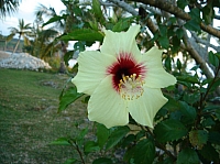 DSC01508.JPG
