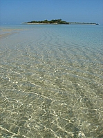 DSC01537.JPG