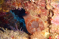 DSC01602 copie.JPG