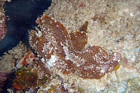 DSC01799 copie.jpg