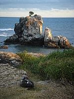DSC01899.JPG