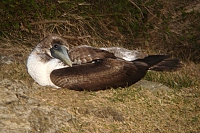 DSC01907 copie.JPG
