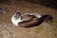 DSC01909 copie.JPG