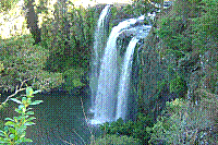 DSC00498 copie.jpg