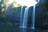 DSC00499 copie.jpg