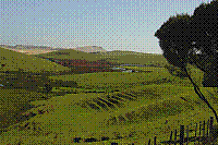 DSC00504 copie.jpg