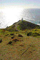 DSC00516 copie.jpg
