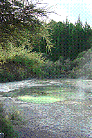 DSC00587 copie.jpg