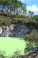 DSC00589 copie.jpg