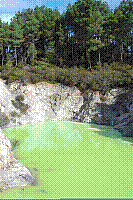 DSC00590 copie.jpg