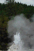 DSC00591 copie.jpg