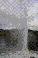 DSC00593 copie.jpg