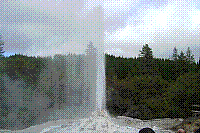 DSC00594 copie.jpg