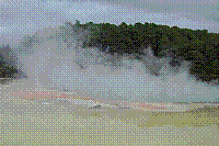 DSC00596 copie.jpg