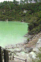 DSC00599 copie.jpg
