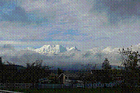 DSC00610 copie.jpg