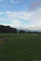 DSC00612 copie.jpg