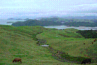 DSC00622 copie.jpg