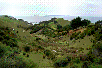 DSC00624 copie.jpg