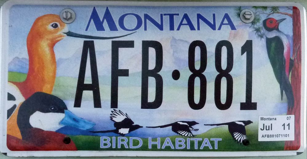 Montana (4).JPG