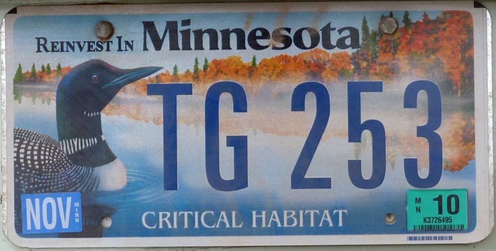 minnesota (2).JPG