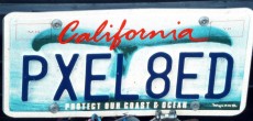 california 1.JPG