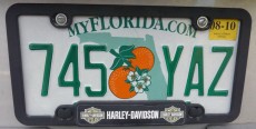 floride.JPG