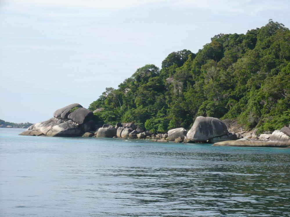 SIMILAN nov  2008 .PHOTO JAMES (59).JPG