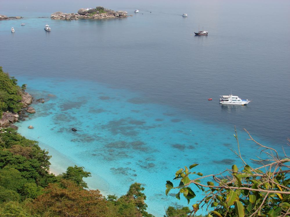 SIMILAN nov  2008 .PHOTO PHILIPPE (132).JPG