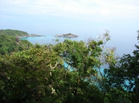 SIMILAN nov  2008 .PHOTO PHILIPPE (128).JPG