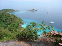 SIMILAN nov  2008 .PHOTO PHILIPPE (129).JPG