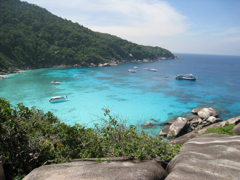 SIMILAN nov  2008 .PHOTO ARNOLD (15).jpg