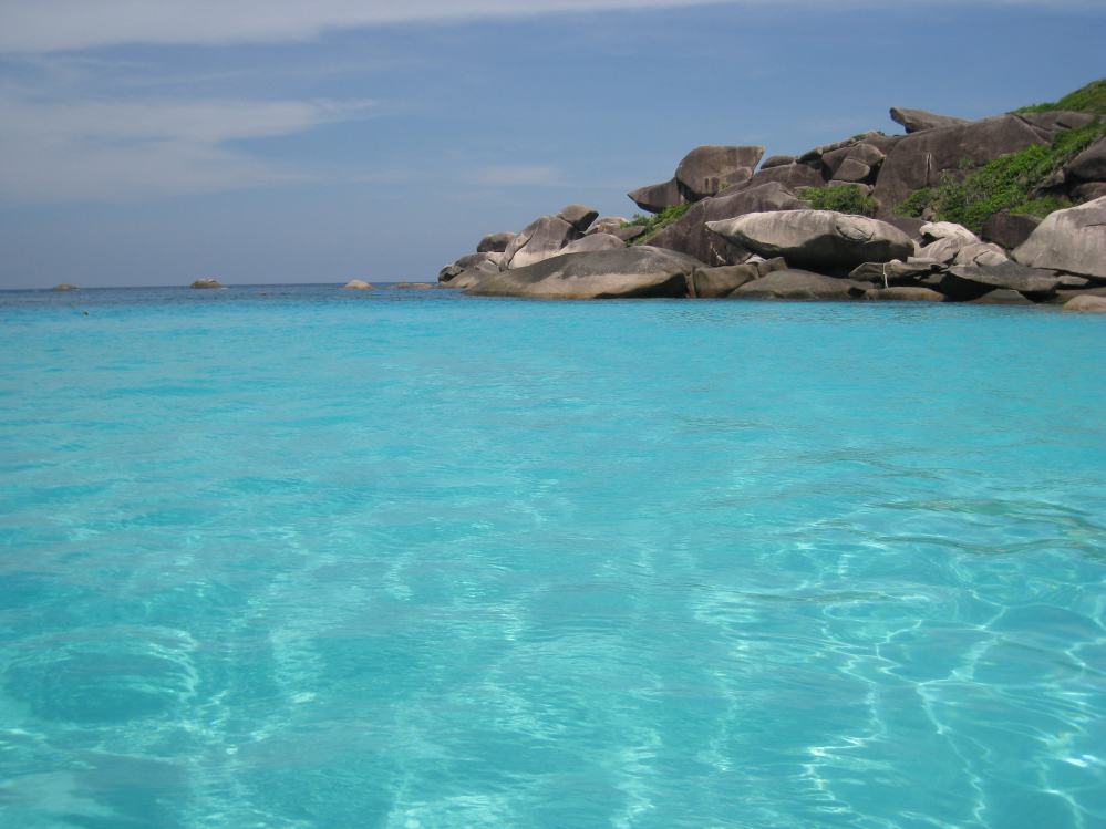 SIMILAN nov  2008 .PHOTO ARNOLD (8).jpg
