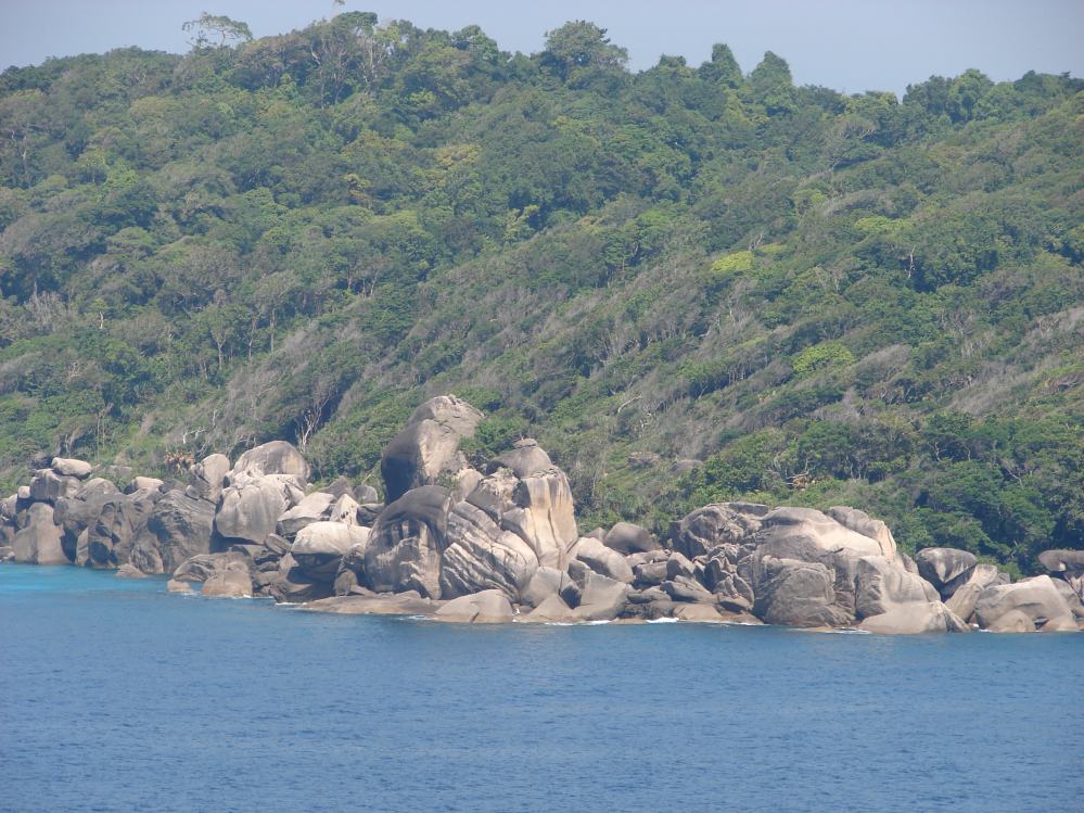 SIMILAN nov  2008 .PHOTO PHILIPPE (30).JPG