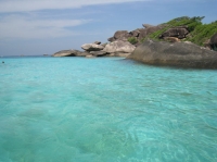 SIMILAN nov  2008 .PHOTO ARNOLD (10).jpg