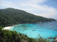 SIMILAN nov  2008 .PHOTO ARNOLD (16).jpg