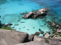 SIMILAN nov  2008 .PHOTO ARNOLD (18).jpg